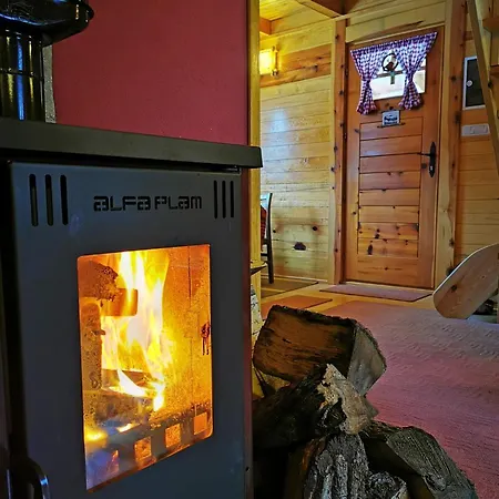 Brvnara Tara Holiday home *