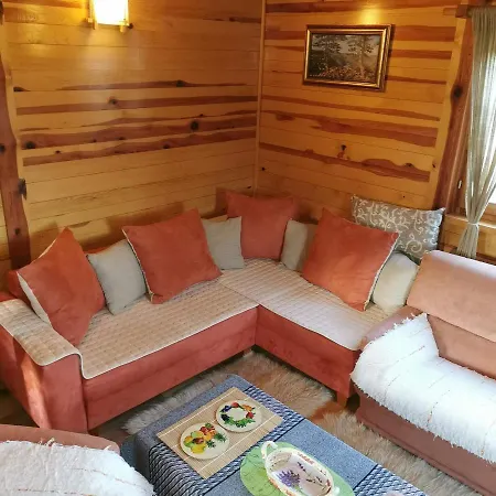 Brvnara Tara Holiday home Bajina Basta