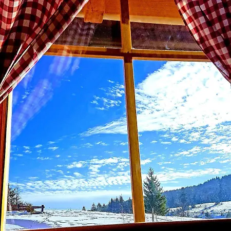 Brvnara Tara Holiday home *