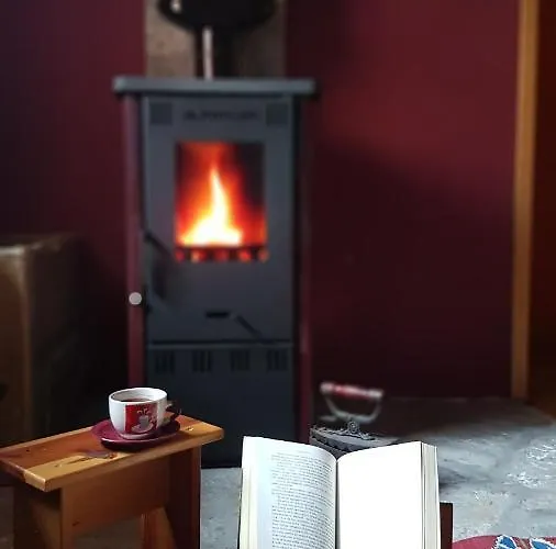 Brvnara Tara * Bajina Bašta