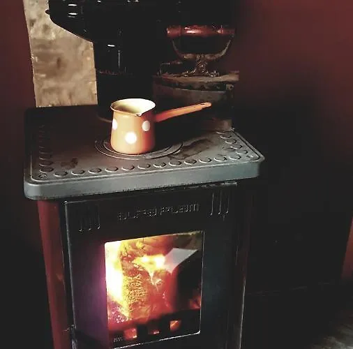 Brvnara Tara Bajina Bašta